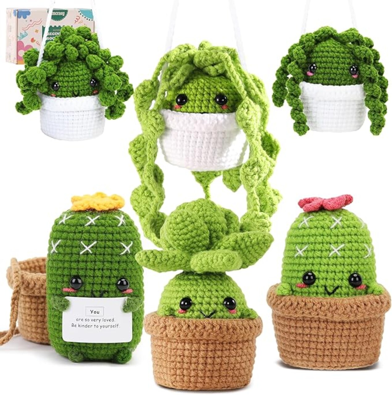 Crochet Kit for Beginners with Step by Step Video Lessons | 6 PC Potted Plants and Succulent Family Crochet Kit with Crochet Accessories(2025 New Version)